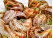Snails In Garlic Butter