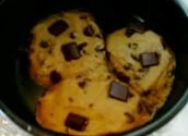 An Overview Of Solar Cooked Chocolate Chip Cookies