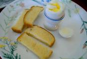 Solar Cooking Egg And Soldiers 