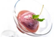 Lemon Champagne Sorbet