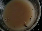 Soups Galore, My Favorite Soups Part 2