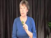 Cocktail How To- Spanking Herbs