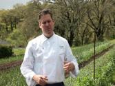 Spring In The Garden: An Update From Executive Chef Todd Knoll (the Journey Blog 4.9.10)
