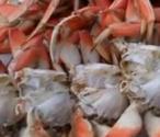 Easy Steamed Crabs