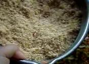 Oriental Fritters - Part 2 : Coating And Preparing