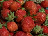 Strawberry Shrikhand