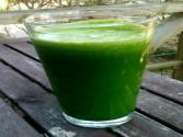Sunflower, Fennel And Avocado Smoothie 