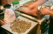 Raw Sunflower And Pumpkin Seeds