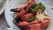Sustainable Crabs 