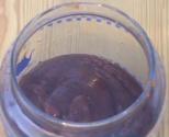 Sweet And Sour Chutney