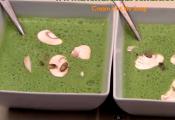 Tangy Cream Of Kale Soup