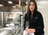 Tasting Newborn Wines During Harvest: From Crushpad To Tank