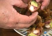 Shrimp Tempura