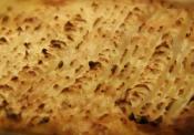 Cottage Pie With Minced Beef