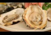 How To Shuck Oysters