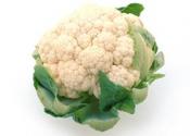 Cauliflower65