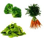 Broccoli, Carrot, And Spinach Timbales