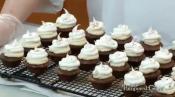 Mini Chocolate Tiramisu Cakes 
