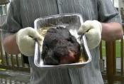 Smoked Pork Butts