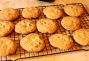 Triple Chocolate Chip Cookie