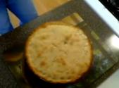 Turkey/chicken Pot Pie