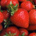 Top 3 Tips On How To Freeze Strawberries