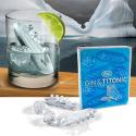 Gin & Titonic Ice Cube Tray