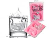 Funny Gadget : Frozen Smiles Ice Cube Tray