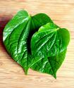 Valentine Aphrodisiac Dessert - Paan