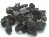 Kudampuli (Garcinia Cambogia)