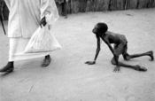 Please Don't Waste Food & Water