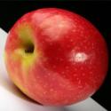 Apple Trivia