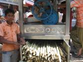 The Mumbai Heat