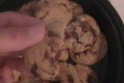 Vegan Chocolate Chip Cookies