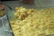 Gluten Free Vegan Macaroni And Cheese 