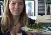 Veggies Over Rice