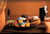 What Is Third World Gourmet Diet