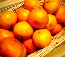 Citrus Unshiu