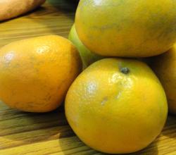 Oranges