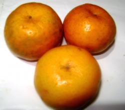 Oranges