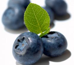  Blueberry