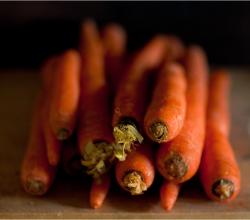 Carrots