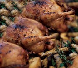Cornish Hens A I Orange