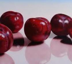 Plums
