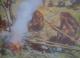 Taming Fire The Culinary Way Caused Human Evolution!