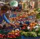 Summer's Generous Bounty