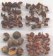 Bunge Prickley Ash Oil