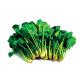 How To Store Spinach