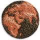 World Food Prices doubled due to American Ethanol subsidy