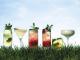 Top 10 Cocktail Drinks For Beginners